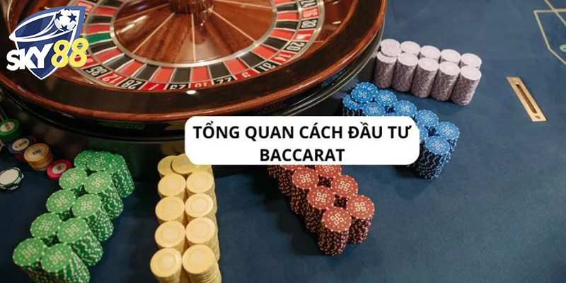 Casino Sky88 - Chơi Rồng Hổ Đời Hết Khổ, Hoàn Trả Không Giới Hạn